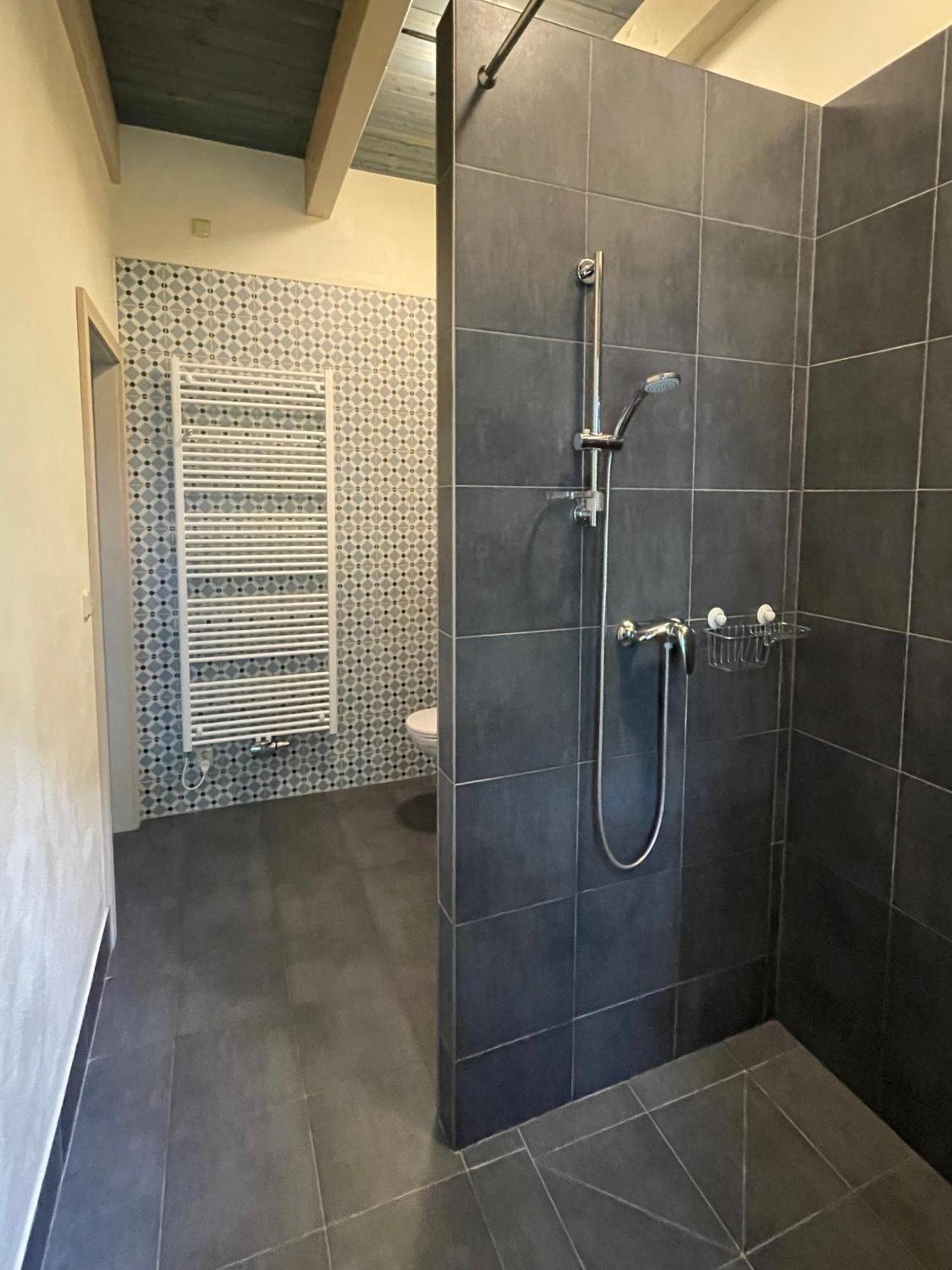 Apartmany Modrinovy Dum Horní Planá 객실 사진